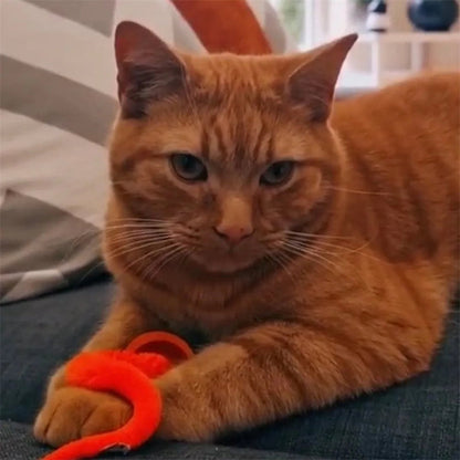 Aiitle Fun Cat Toy Wiggly Ball with Tail