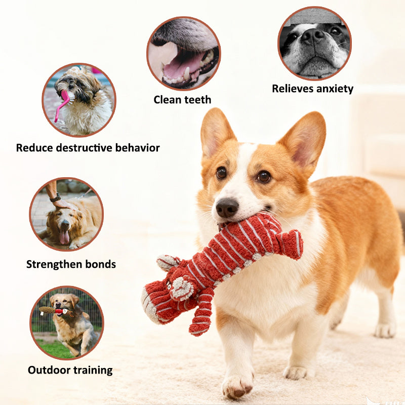 Aiitle No Stuffing Plush Dog Squeaky Toy