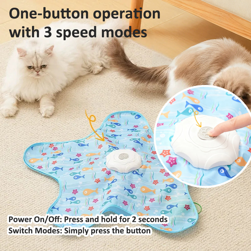 Aiitle Rechargeable Interactive Cat Toy