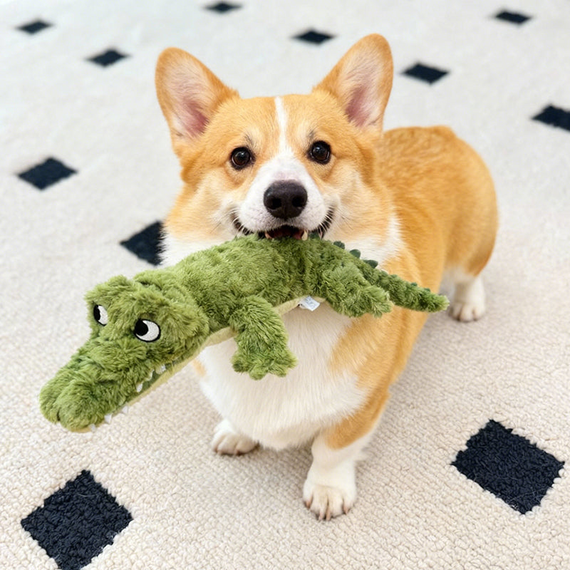 Aiitle Stuffing-Free Treat-Hiding Dog Toy