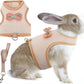 Aiitle Cute Adjustable Rabbit Harness and Leash Set