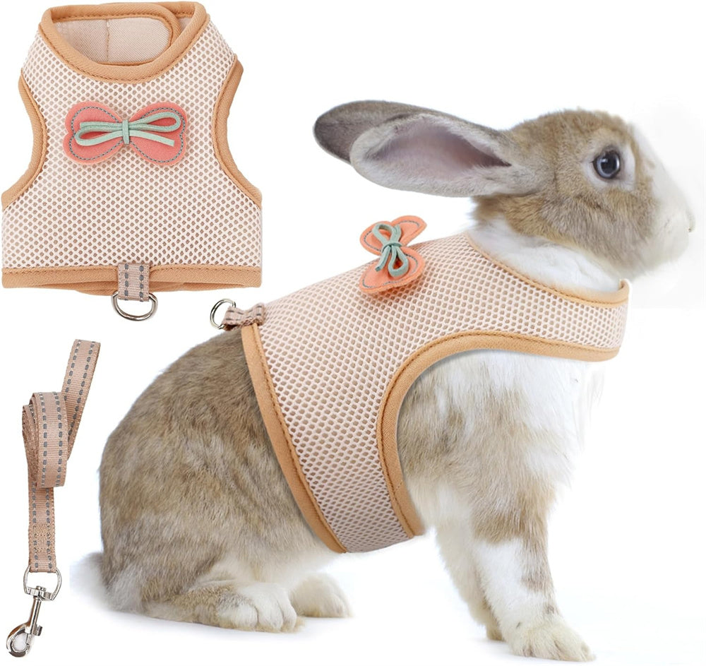 Aiitle Cute Adjustable Rabbit Harness and Leash Set