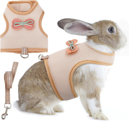 Aiitle Cute Adjustable Rabbit Harness and Leash Set