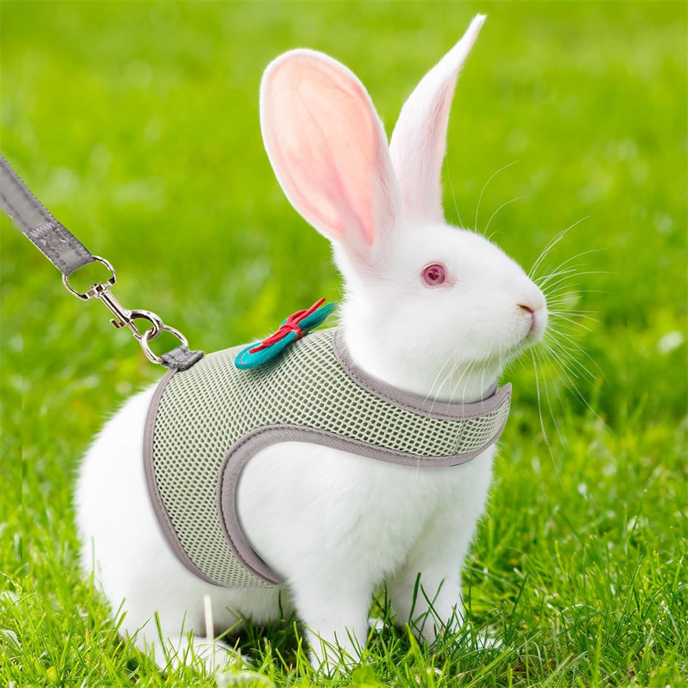 Aiitle Cute Adjustable Rabbit Harness and Leash Set