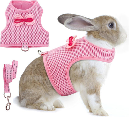 Aiitle Cute Adjustable Rabbit Harness and Leash Set