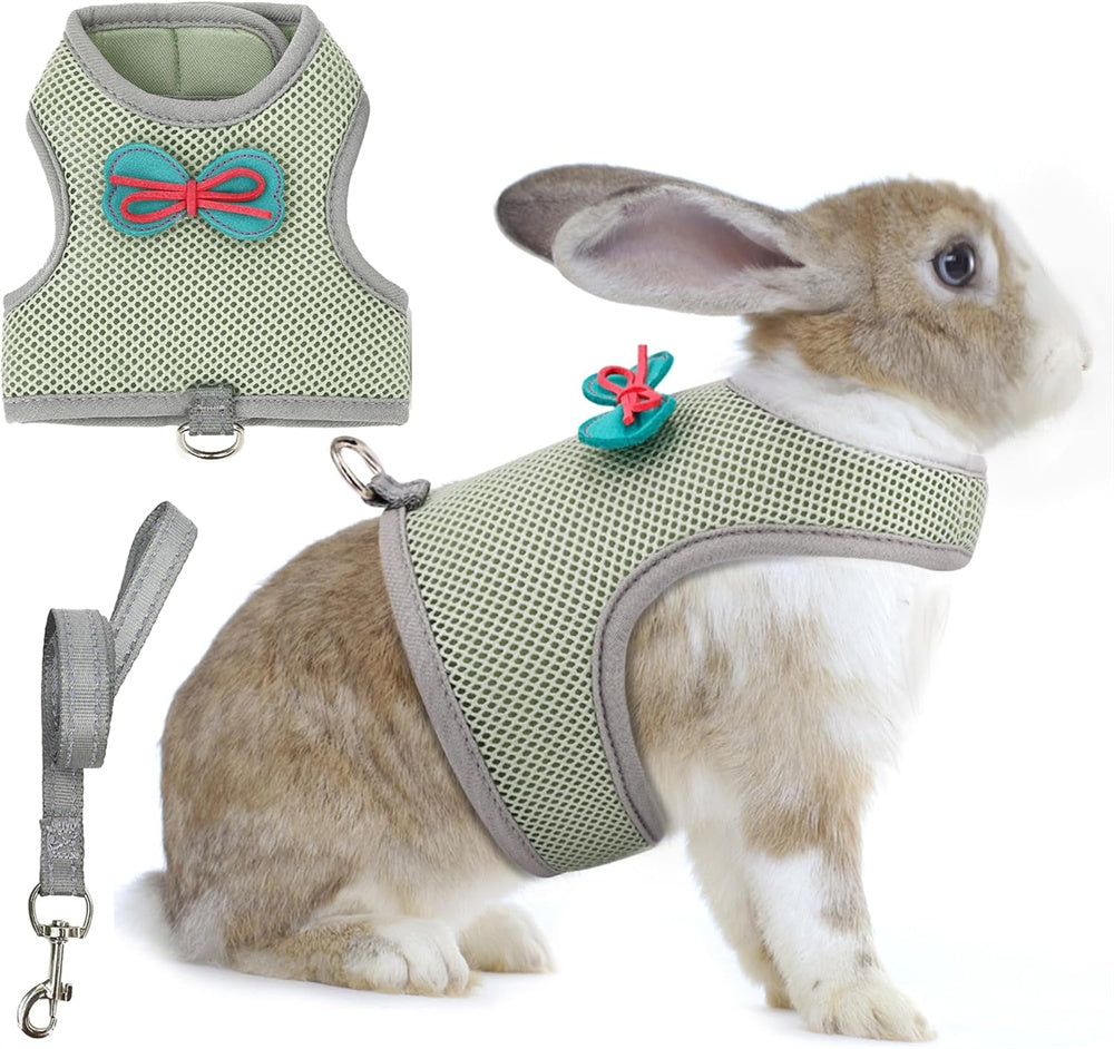 Aiitle Cute Adjustable Rabbit Harness and Leash Set