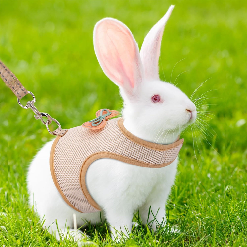 Aiitle Cute Adjustable Rabbit Harness and Leash Set