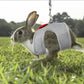 Aiitle Soft Mesh Rabbit Harness and Leash Set with Cute Bow