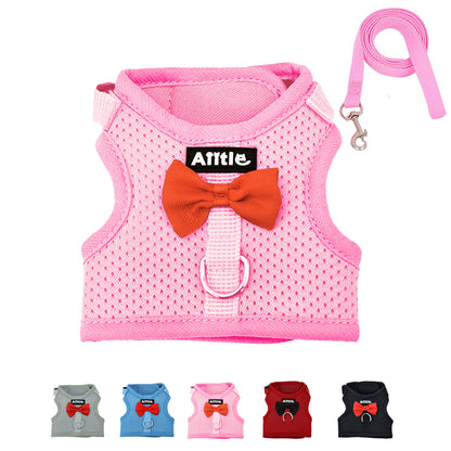 Aiitle Soft Mesh Rabbit Harness and Leash Set with Cute Bow