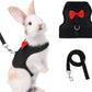 Aiitle Soft Mesh Rabbit Harness and Leash Set with Cute Bow