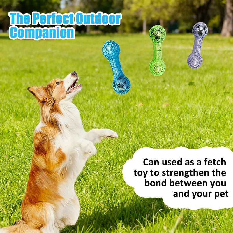 Aiitle Dog Dumbbell Shape Interactive Squeak Toy with Soccer Ball