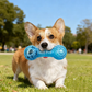 Aiitle Dog Dumbbell Shape Interactive Squeak Toy with Soccer Ball