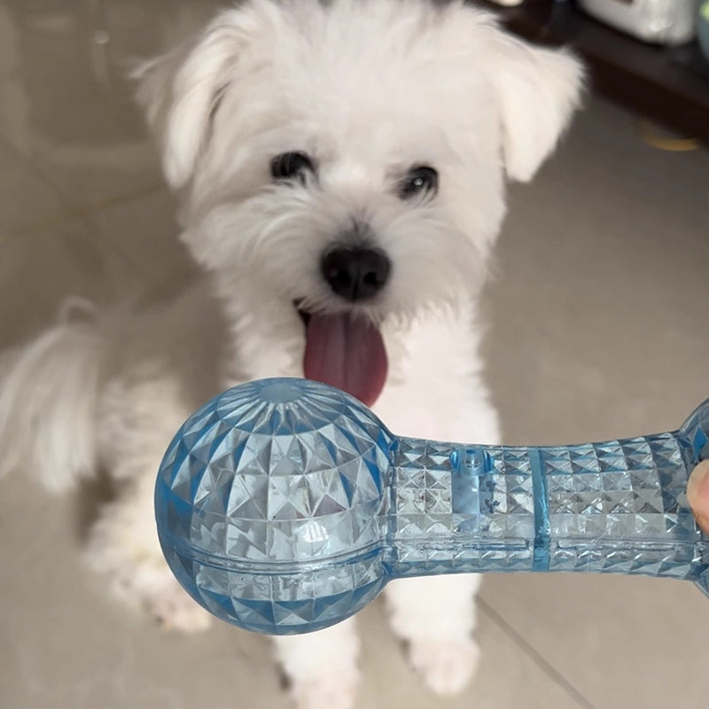 Aiitle Dog Dumbbell Shape Interactive Squeak Toy with Soccer Ball