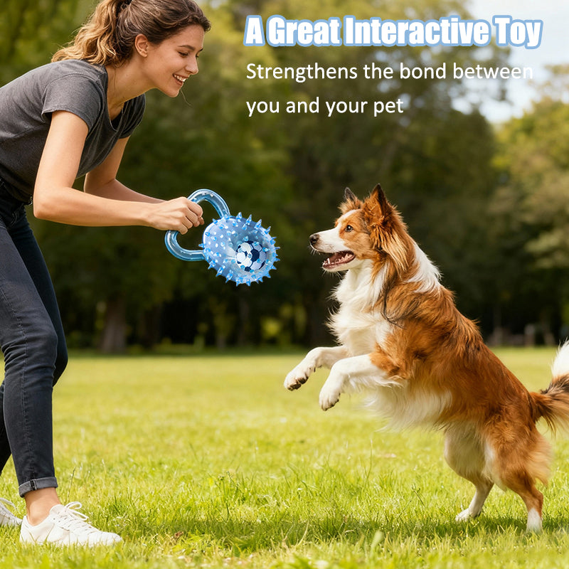 Interactive Squeaky Ball Dog Toy with Handle