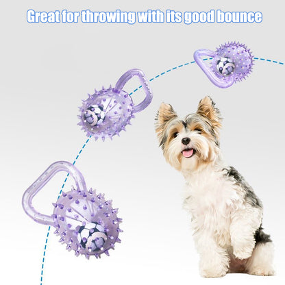Interactive Squeaky Ball Dog Toy with Handle