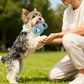 Interactive Squeaky Ball Dog Toy with Handle