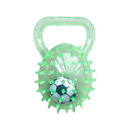 Interactive Squeaky Ball Dog Toy with Handle