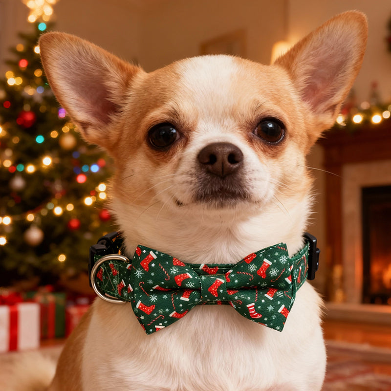 Aiitle Adjustable Christmas Dog Collar Green Socks