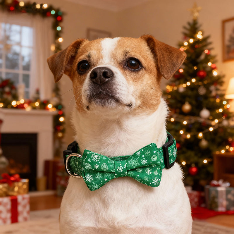 Aiitle Adjustable Christmas Dog Collar Green Snowflake