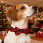 Aiitle Adjustable Christmas Dog Collar Red Plaid