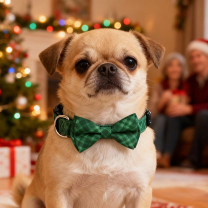 Aiitle Adjustable Christmas Dog Collar Green Plaid