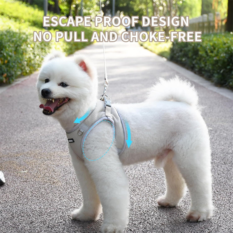 Aiitle Step in Mesh Small Dog Harness with Leash Set Beige