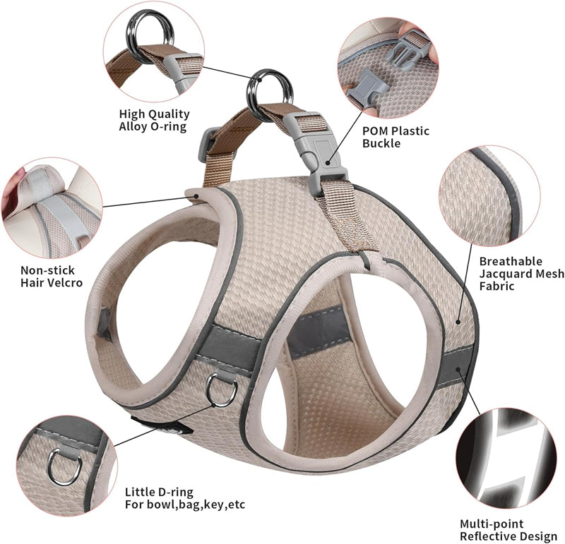 Aiitle Step in Mesh Small Dog Harness with Leash Set Beige
