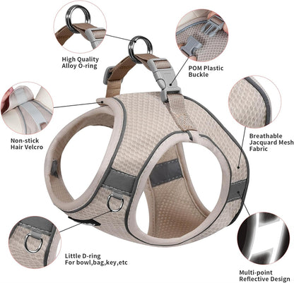 Aiitle Step in Mesh Small Dog Harness with Leash Set Beige