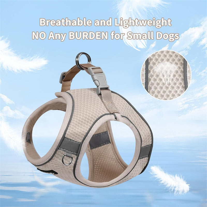Aiitle Step in Mesh Small Dog Harness with Leash Set Beige