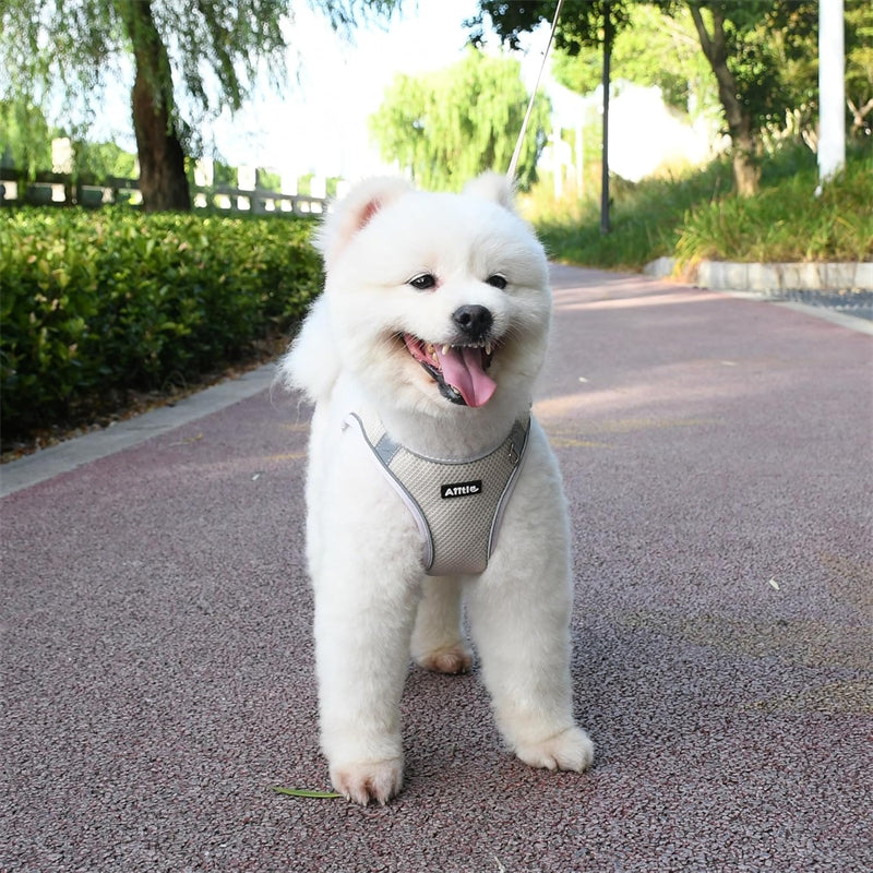 Aiitle Step in Mesh Small Dog Harness with Leash Set Beige