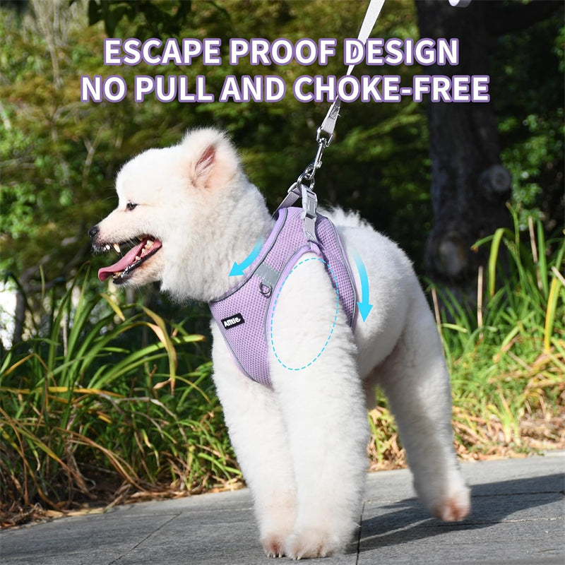 Aiitle Step in Mesh Small Dog Harness with Leash Set Purple