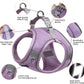 Aiitle Step in Mesh Small Dog Harness with Leash Set Purple