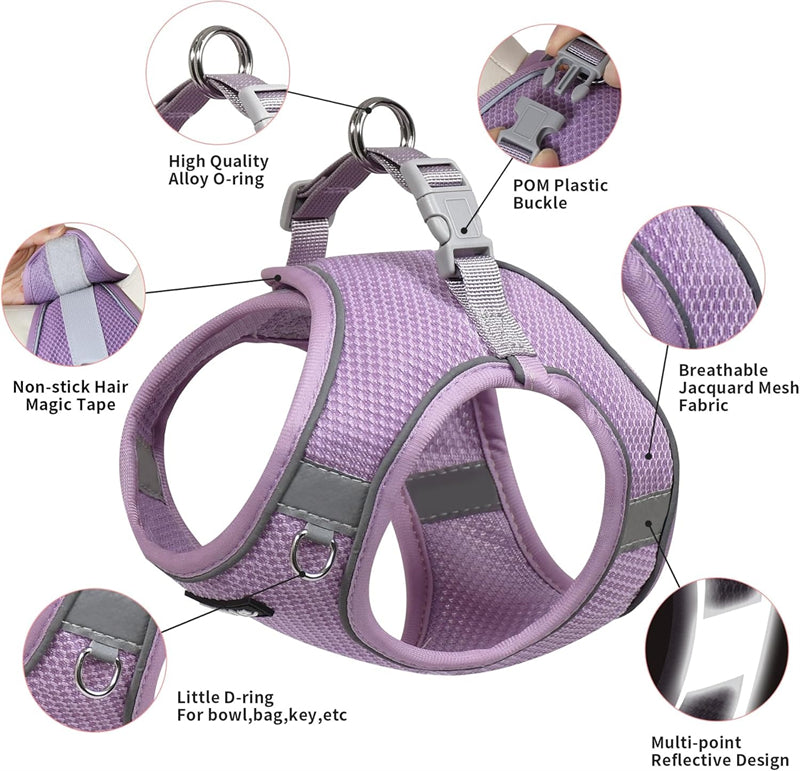 Aiitle Step in Mesh Small Dog Harness with Leash Set Purple