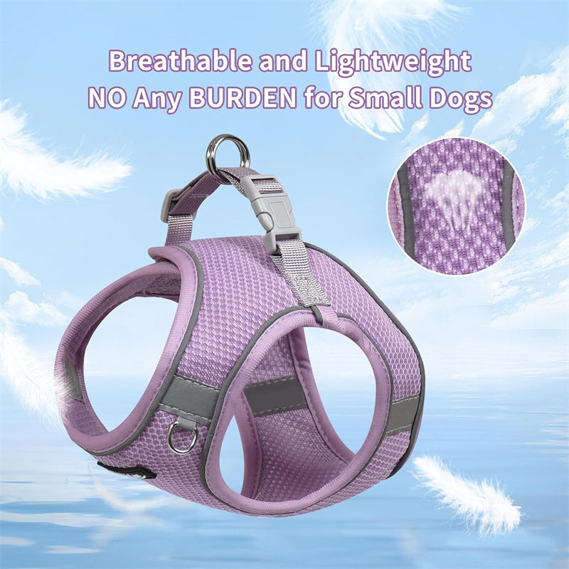 Aiitle Step in Mesh Small Dog Harness with Leash Set Purple