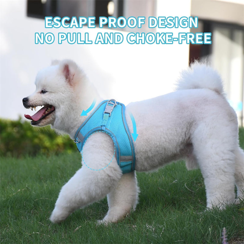 Aiitle Step in Mesh Small Dog Harness with Leash Set Blue