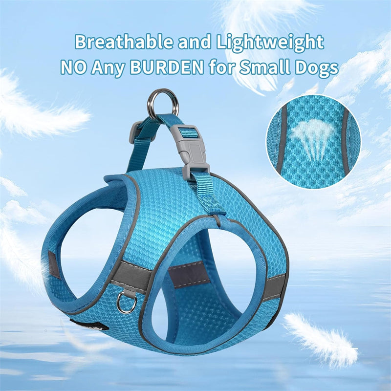 Aiitle Step in Mesh Small Dog Harness with Leash Set Blue