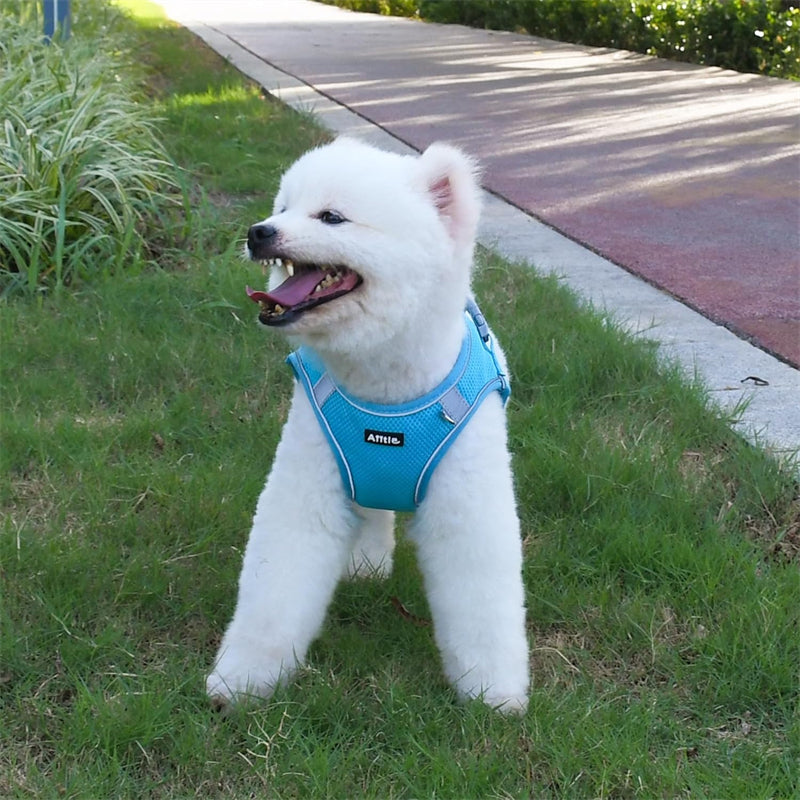 Aiitle Step in Mesh Small Dog Harness with Leash Set Blue