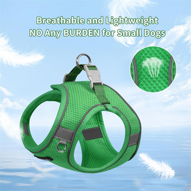 Aiitle Step in Mesh Small Dog Harness with Leash Set Green