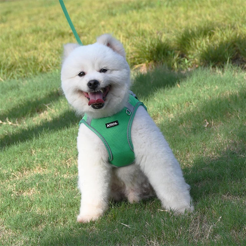 Aiitle Step in Mesh Small Dog Harness with Leash Set Green