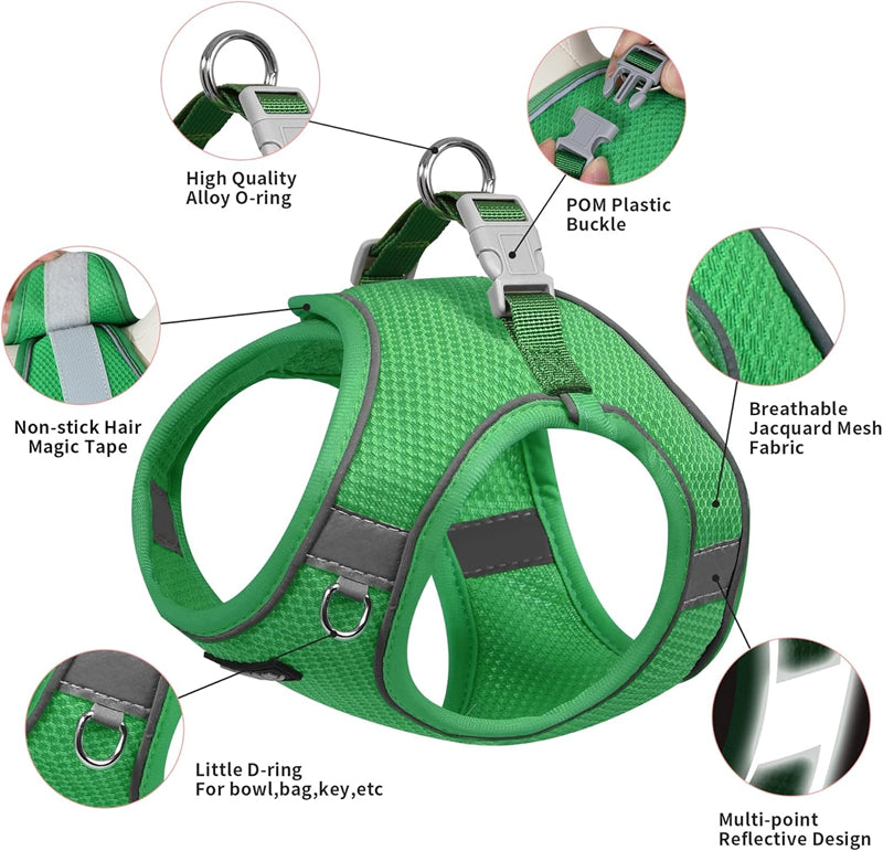 Aiitle Step in Mesh Small Dog Harness with Leash Set Green
