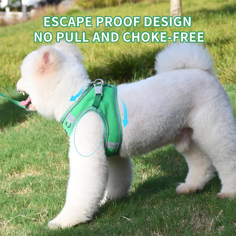 Aiitle Step in Mesh Small Dog Harness with Leash Set Green