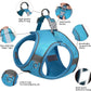Aiitle Step in Mesh Small Dog Harness with Leash Set Blue