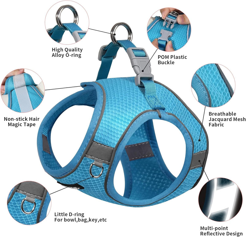 Aiitle Step in Mesh Small Dog Harness with Leash Set Blue