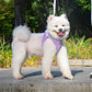 Aiitle Step in Mesh Small Dog Harness with Leash Set Purple
