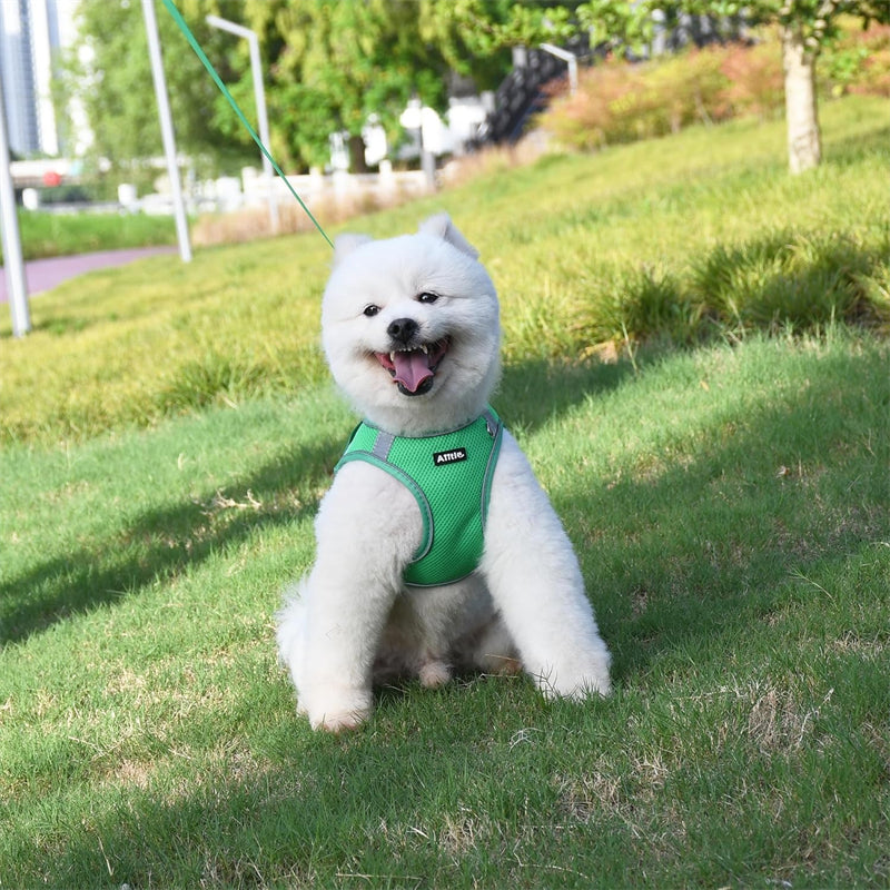 Aiitle Step in Mesh Small Dog Harness with Leash Set Green