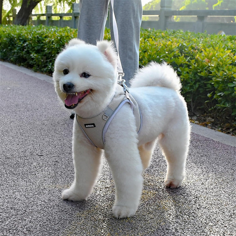 Aiitle Step in Mesh Small Dog Harness with Leash Set Beige