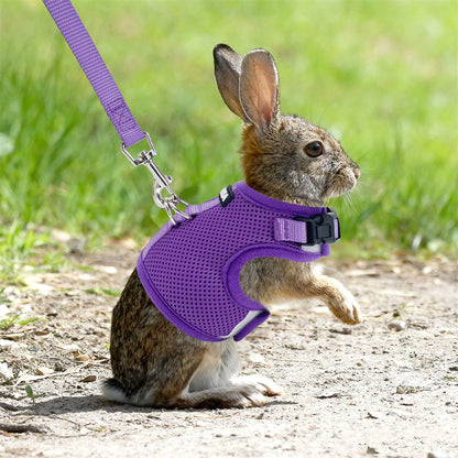Aiitle Mesh Breathable Rabbit Harness and Leash Set Lightweight Adjustable
