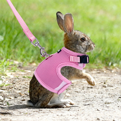 Aiitle Mesh Breathable Rabbit Harness and Leash Set Lightweight Adjustable