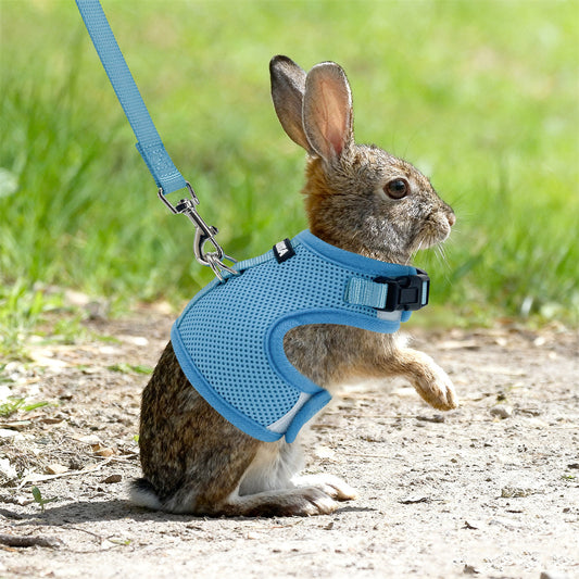 Aiitle Mesh Breathable Rabbit Harness and Leash Set Lightweight Adjustable