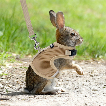 Aiitle Mesh Breathable Rabbit Harness and Leash Set Lightweight Adjustable